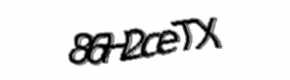 Security check image, please type the characters shown