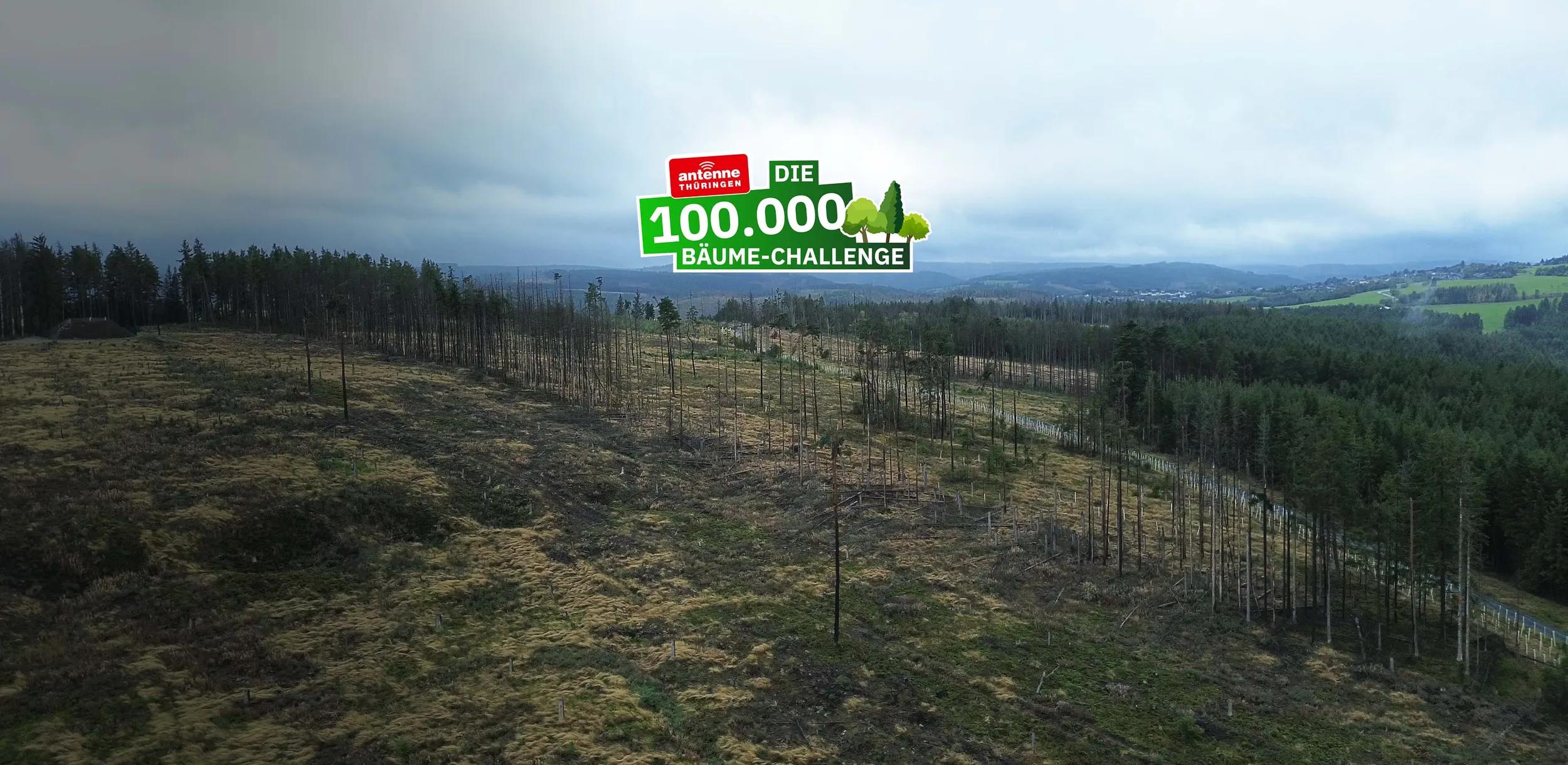 Bunter Text: Antenne Thüringen - Die 100.000 Bäume Challenge. Darunter ein lichter Wald aus Vogelperspektive.