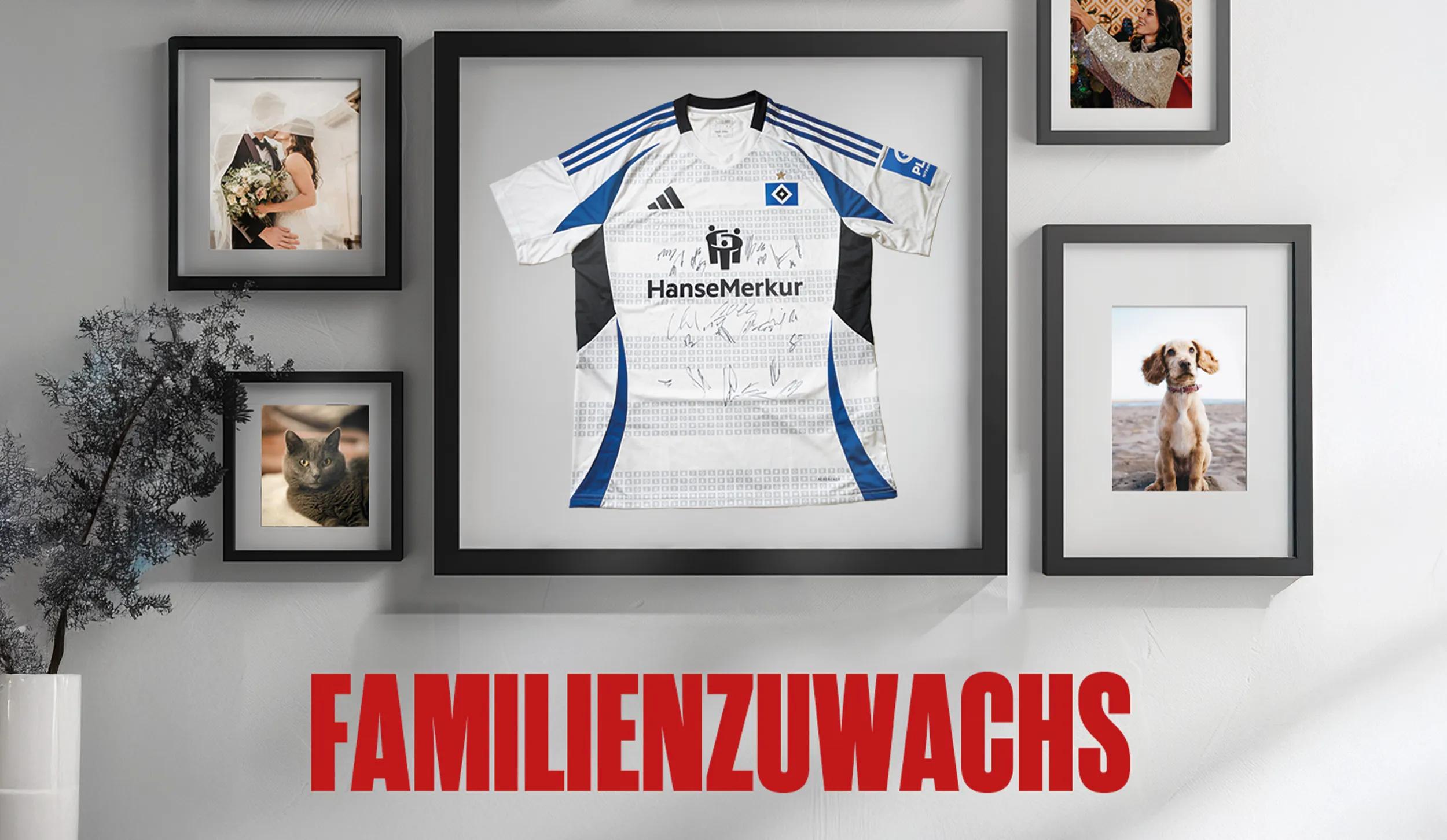 HSV Trikot