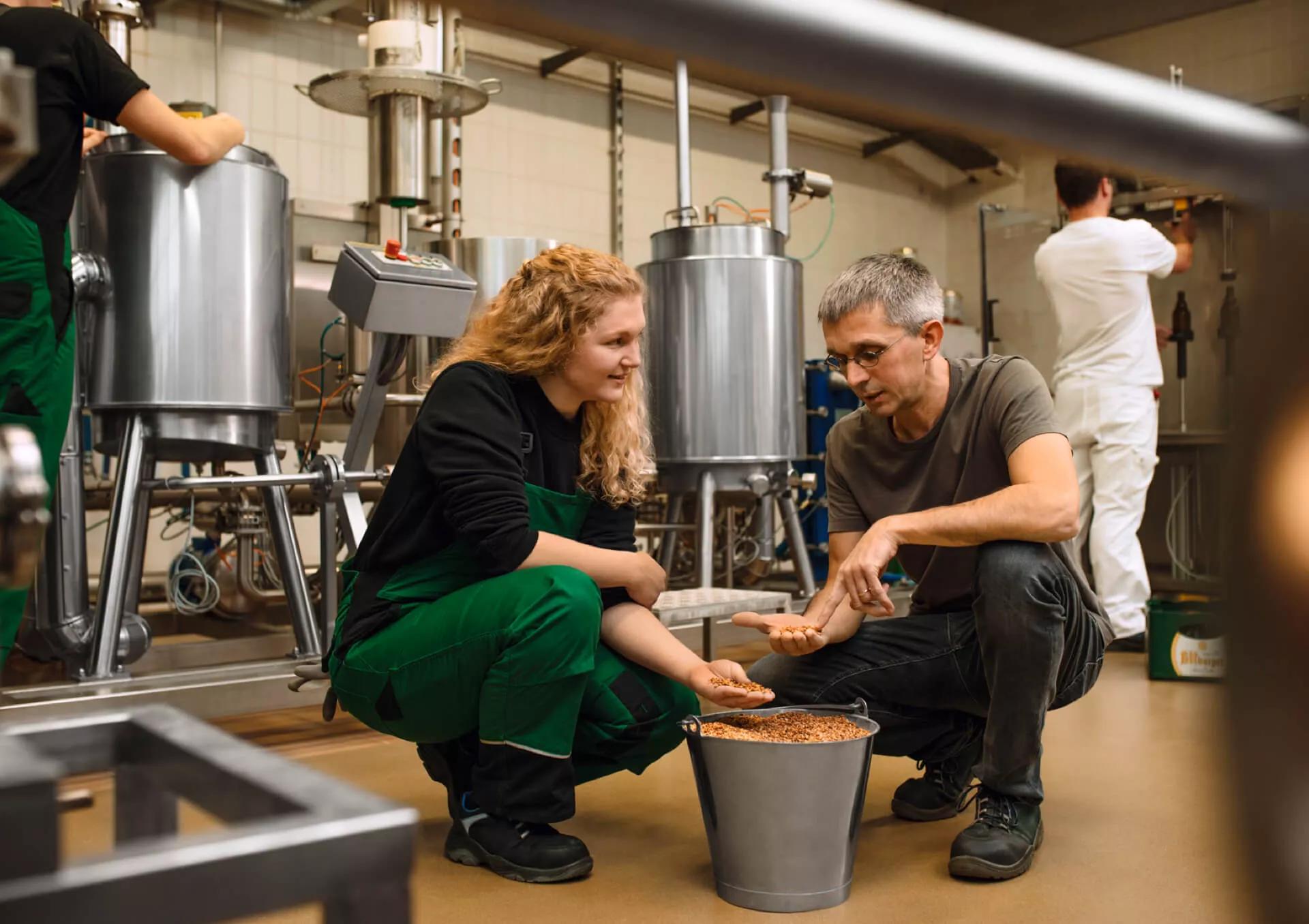 Zwei Braumeister:innen bei der Malzkontrolle in der Brauerei vor einem Eimer gefüllt mit Malz.